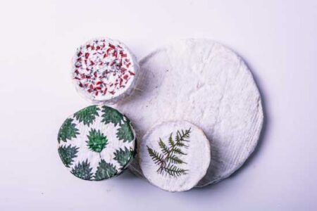 What is that White Mold